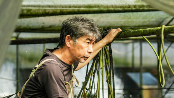 「The社長の仕事」