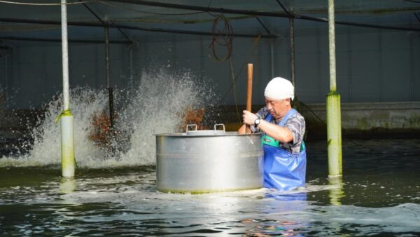 味鰻チャンネル　その一端が垣間見えます