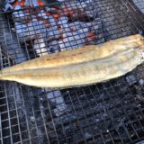 ご紹介頂きました